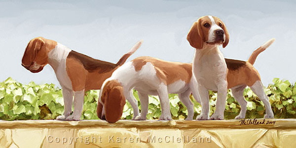 Beagle painting by Karen McClelland
